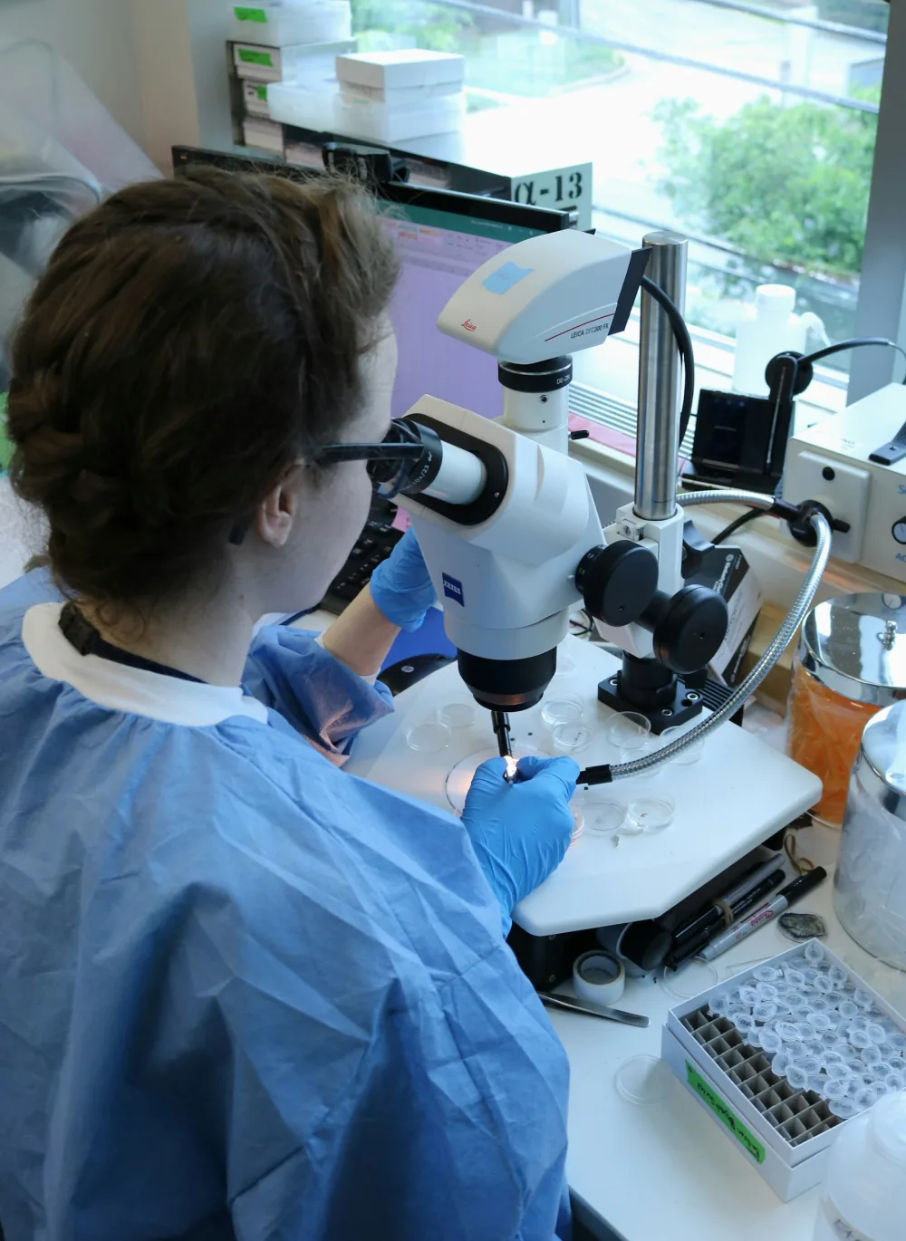 Analytische Wissenschaft — HealthEncounters peptide research
