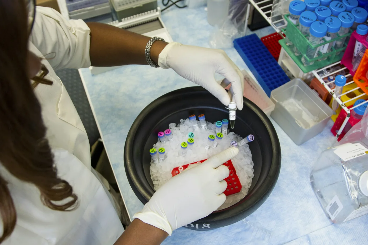 Wissenschaft — HealthEncounters peptide research